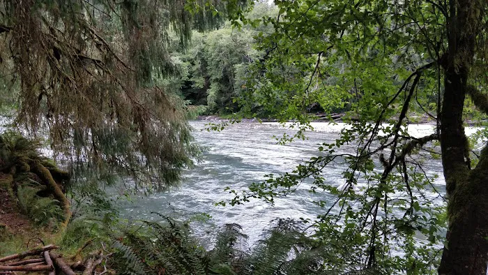 Queets Campground Picture 6