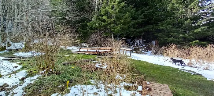 Yahoo Lake Campground Picture 1