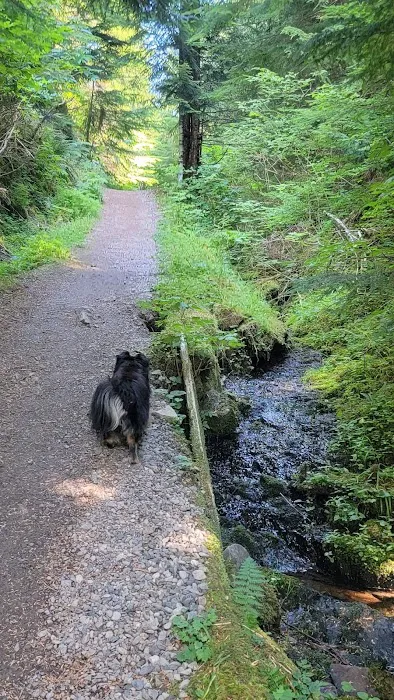 Yahoo Lake Campground Picture 8