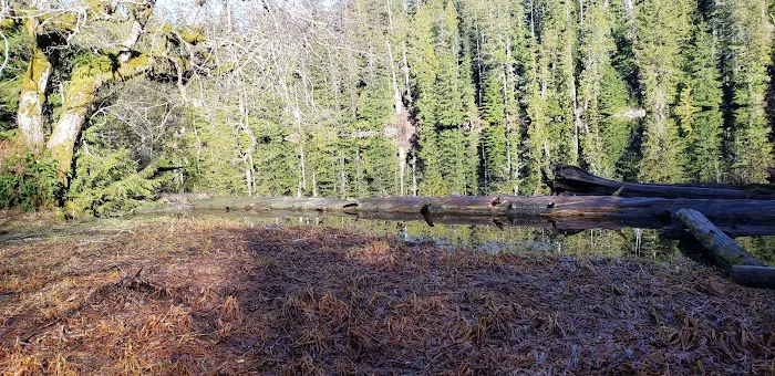 Yahoo Lake Campground Picture 6