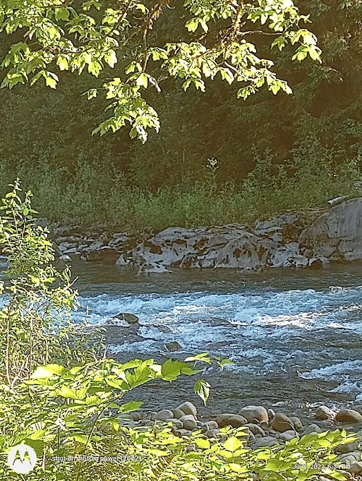South Fork Hoh Campground Picture 5