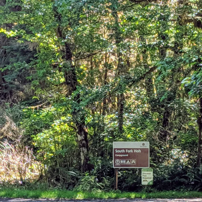 South Fork Hoh Campground Picture 8