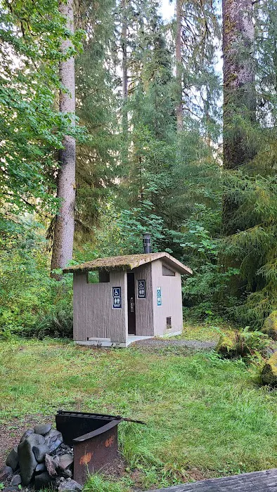South Fork Hoh Campground Picture 2