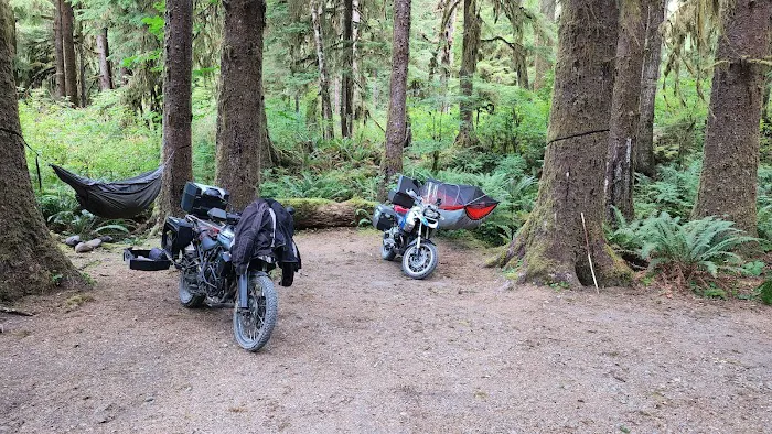 South Fork Hoh Campground Picture 1