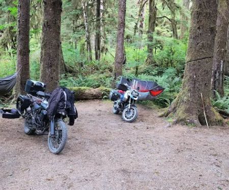 South Fork Hoh Campground