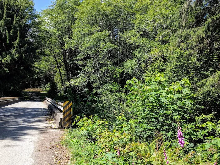 South Fork Hoh Campground Picture 6