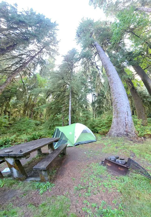South Fork Hoh Campground Picture 10