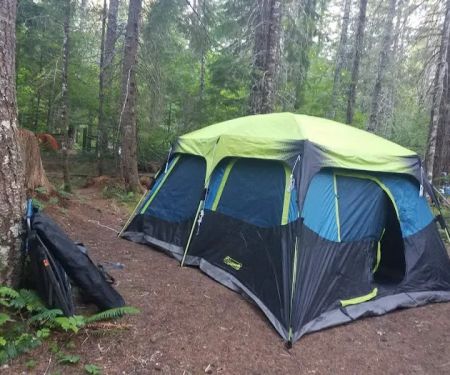 Horse Camp: Lewis River