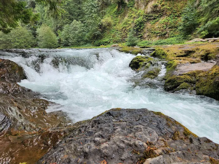 Lower Falls Campground Picture 10