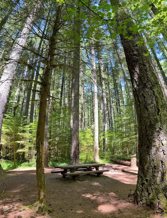 Lower Falls Campground Picture 5