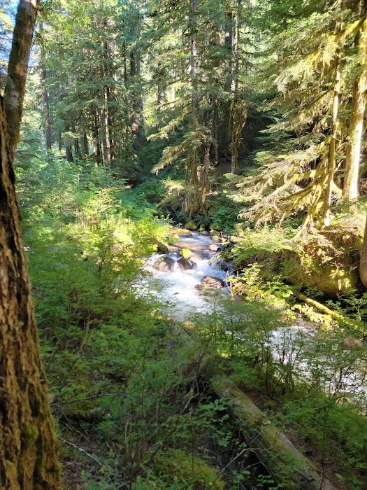 Kalama Horse Camp Campground Picture 7