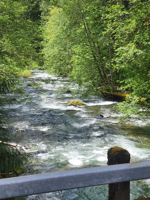 Adams Fork Campground Picture 3