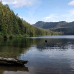 Adams Fork Campground