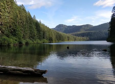 Adams Fork Campground