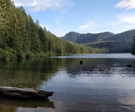 Adams Fork Campground