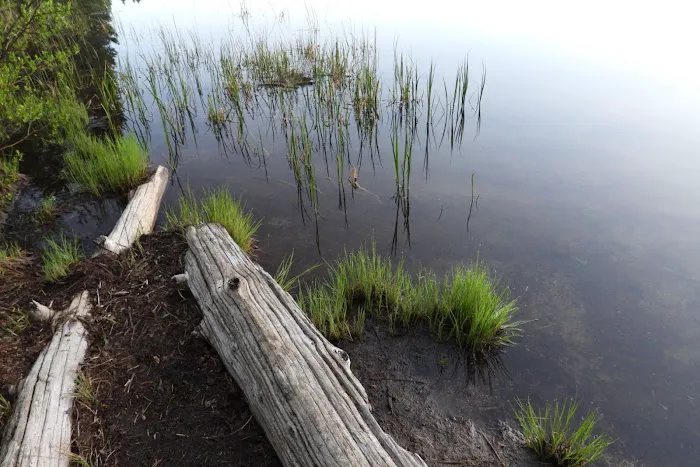 Olallie Lake Campground Picture 2