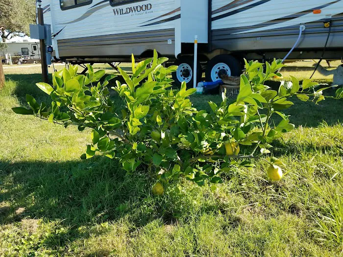 The Texas Oasis RV Park and Campground Picture 2