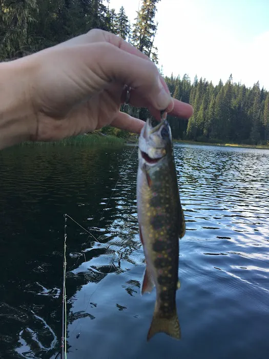 Chambers Lake Campground Picture 8