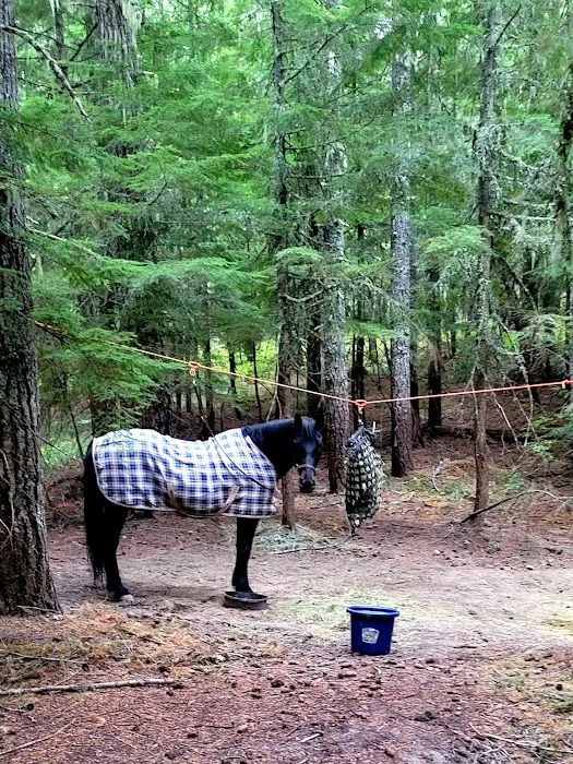 Horse Camp: Walupt Picture 7