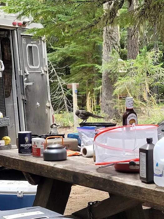 Horse Camp: Walupt Picture 6