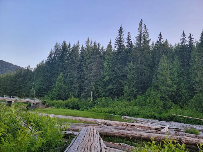 Walupt Lake Campground Picture 7