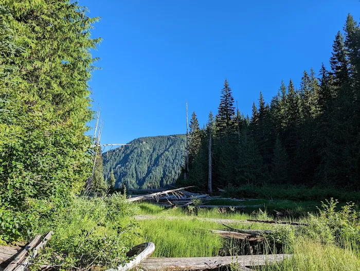 Walupt Lake Campground Picture 9