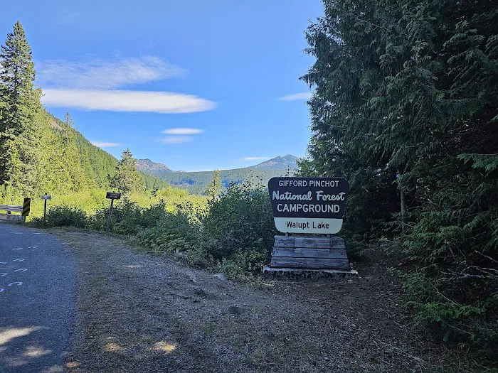 Walupt Lake Campground Picture 8