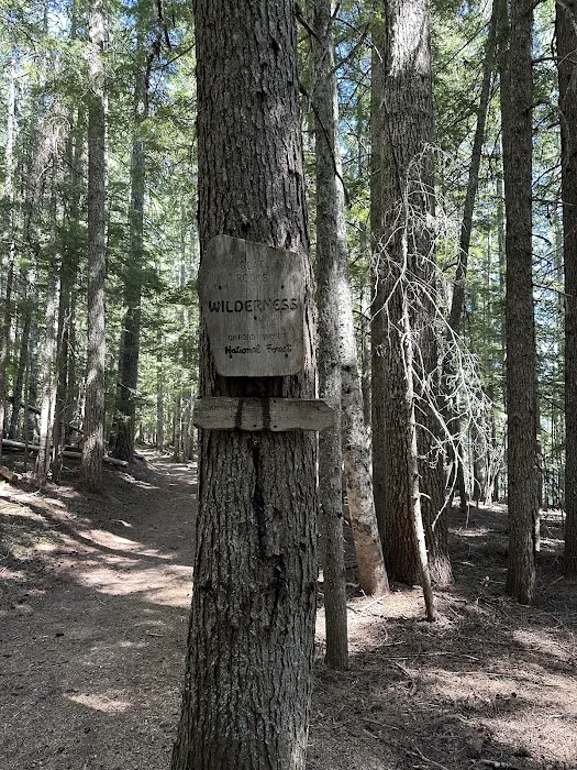 Walupt Lake Campground Picture 4