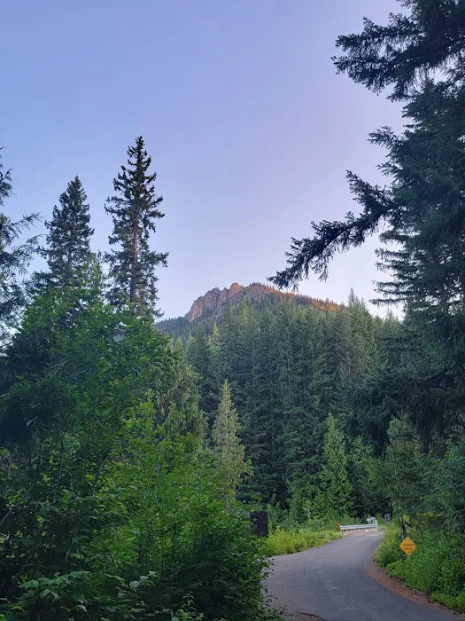 Walupt Lake Campground Picture 6