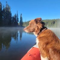 Horseshoe Lake Campground ico