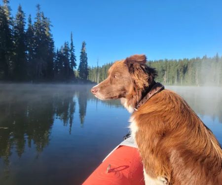 Horseshoe Lake Campground