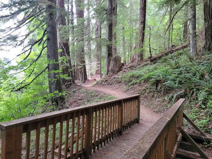 Merrill Lake Campground Picture 3