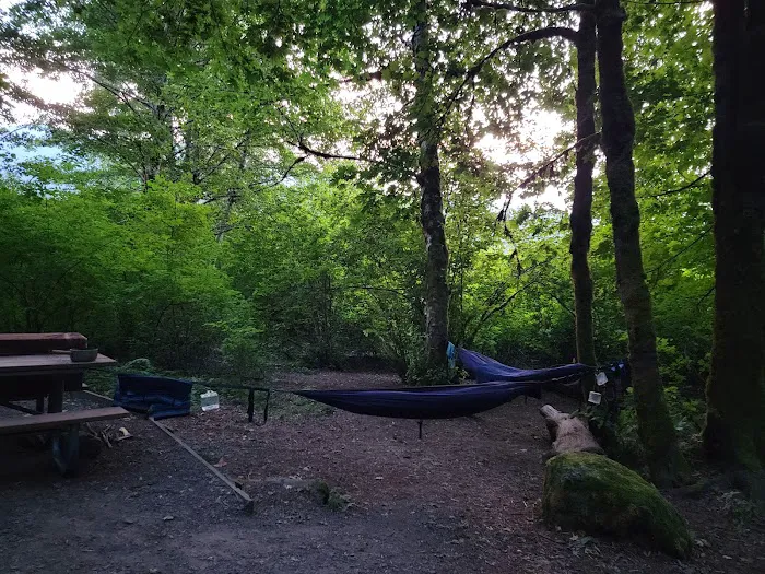 Merrill Lake Campground Picture 2