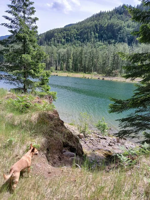 Beaver Bay Campground Picture 5