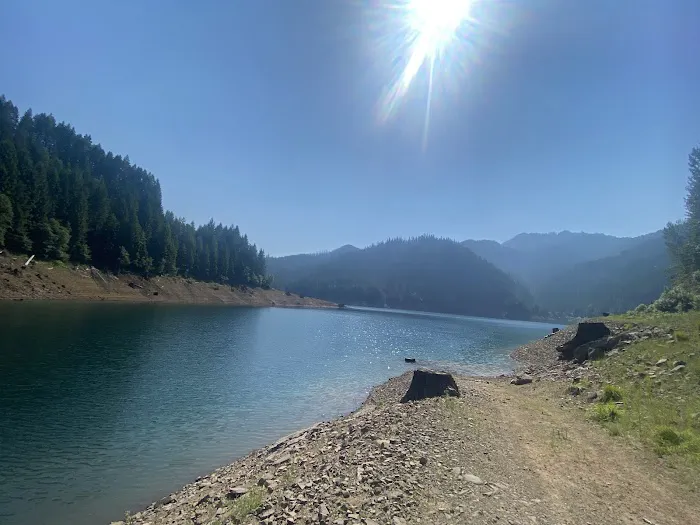 Cougar Park & Campground Picture 4