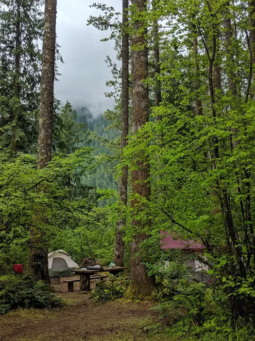 Cougar Park & Campground Picture 9