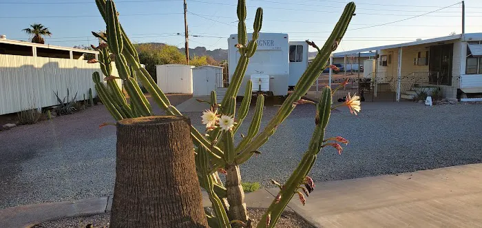 Mountain View Mobile Home Ranch Picture 3
