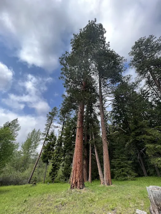South Fork Group Campground Picture 6