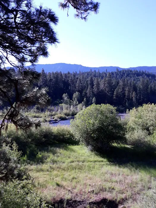 South Fork Group Campground Picture 4