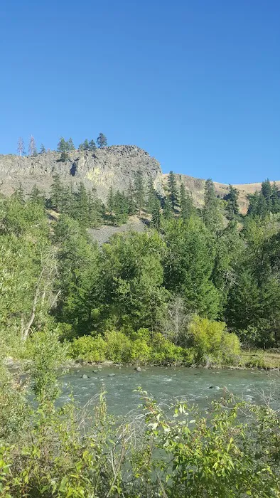 Lonesome Cove Campground Picture 10