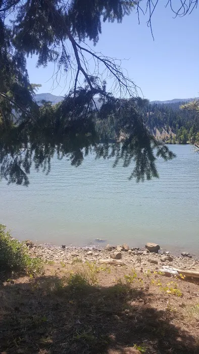 Lonesome Cove Campground Picture 6