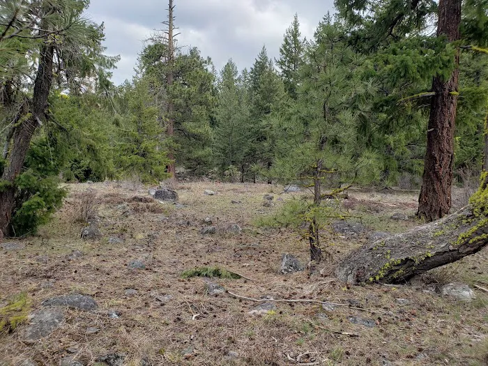 South Fork Tieton Dispersed Camping Picture 9