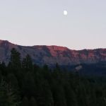 Peninsula Campground South