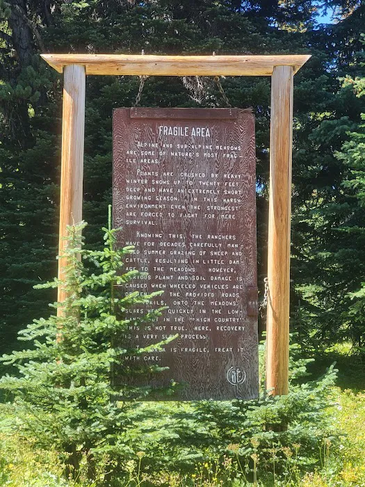Clover Flats Campground Picture 4