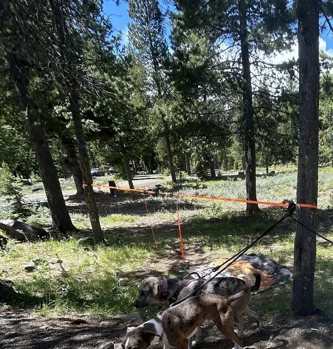 Clover Flats Campground Picture 10
