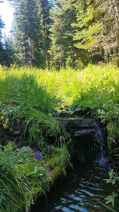 Clover Flats Campground Picture 3