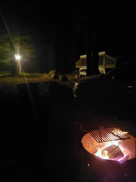 Tree Phones Campground Picture 3
