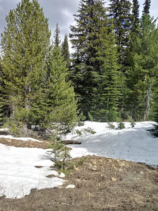 Tree Phones Campground Picture 9