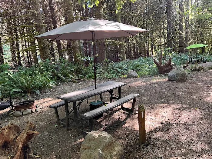Dawleys Sol Duc River Campground Picture 9