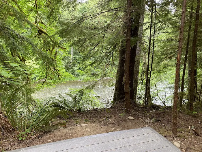 Dawleys Sol Duc River Campground Picture 8